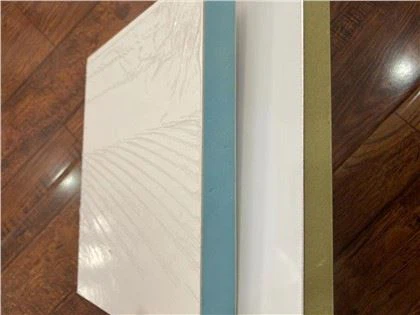 FRP gelcoat panel za RV kamion hladnjak